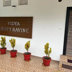 Vidya Misty Ravine Resort Vagamon